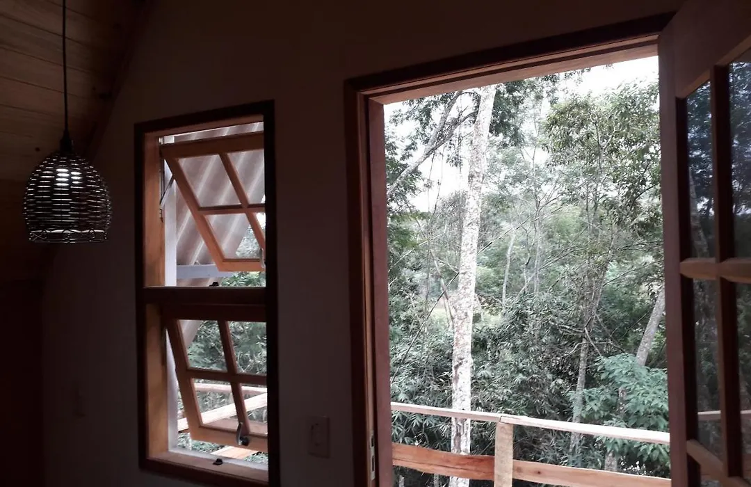 Quicupimnuncria-1